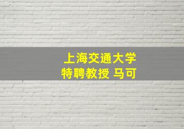 上海交通大学特聘教授 马可